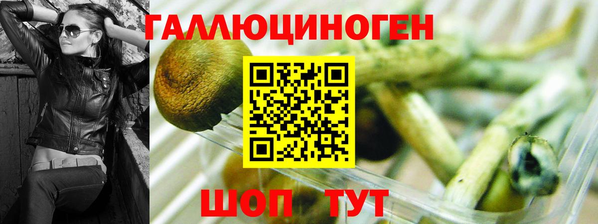 Галлюциногенные грибы Psilocybe  Вход с VPN  Сорочинск 