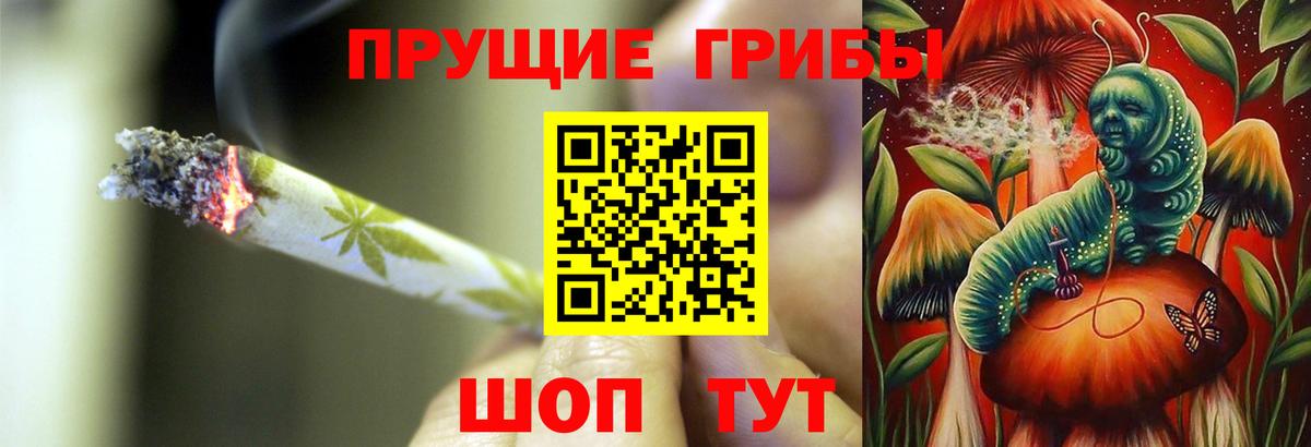 Псилоцибиновые грибы GOLDEN TEACHER Сорочинск